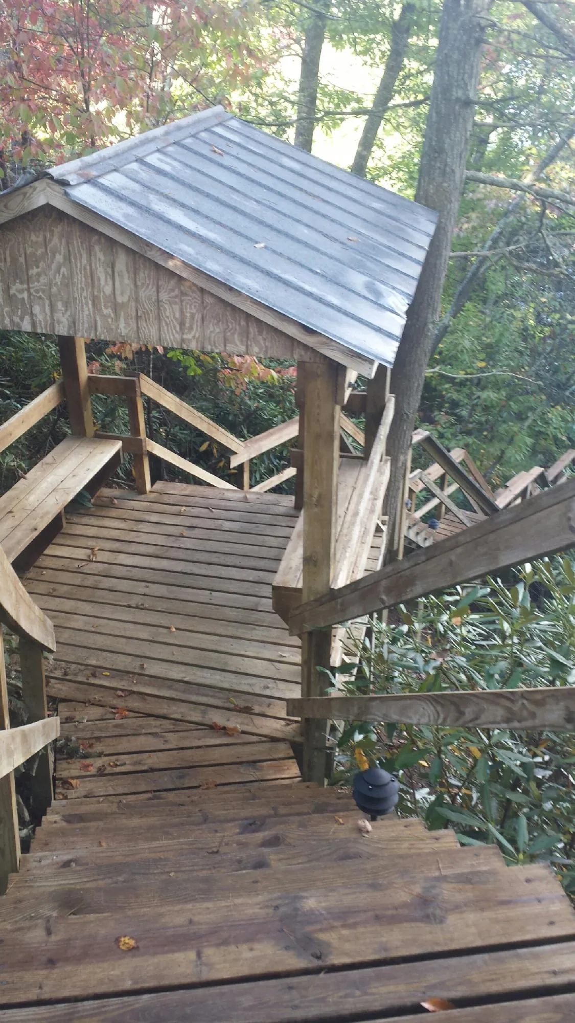 Metal roofed shelter over wooden steps on a wooded walkway — Skylight Repair & Installation work by our crew in Azalea